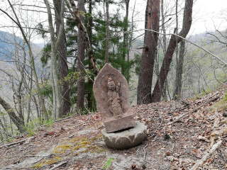 画像に含まれている可能性があるもの:木、屋外